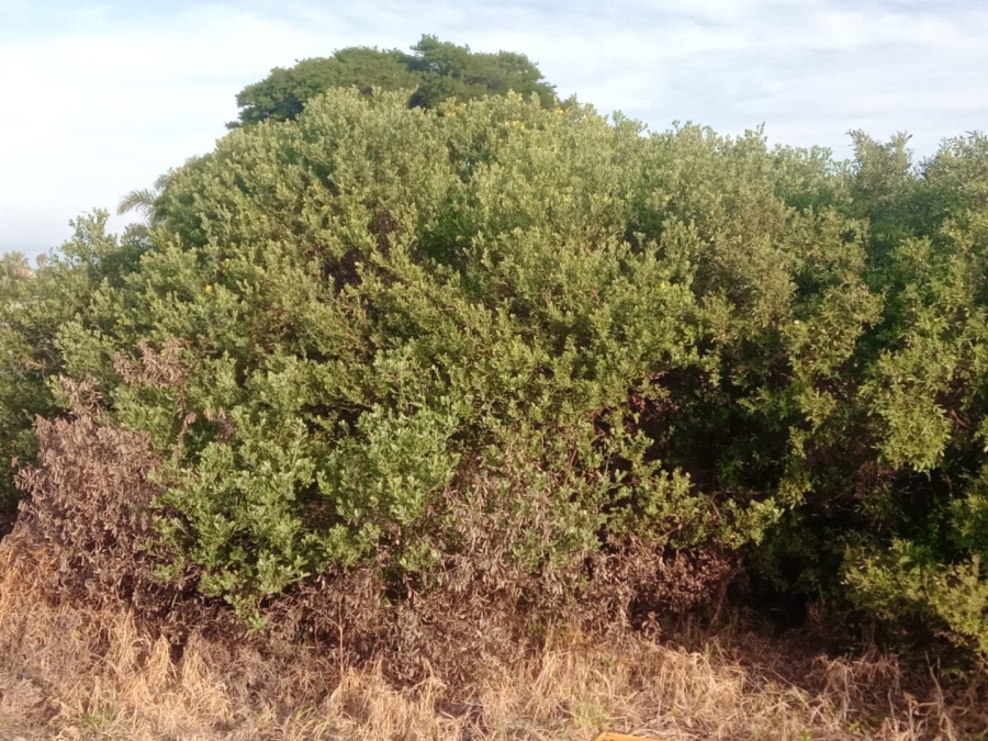 Commercial Property for Sale in Paradise Beach Eastern Cape